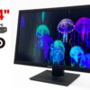 Монітор Asus BE24AQLB / 24" (1920x1200) IPS / 1x DP, 1x DVI, 1x VGA, 2x USB 2.0, 2x Audio / 2х 2W / VESA 100x100
