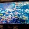 Монітор Б-клас Dell P2314Ht / 23" (1920x1080) IPS / 1x DVI, 1x DP, 1x VGA, 4x USB 2.0 / VESA 100x100 / Pivot - Зображення 12