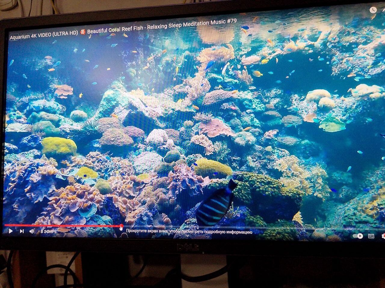 Монітор Б-клас Dell P2314Ht / 23" (1920x1080) IPS / 1x DVI, 1x DP, 1x VGA, 4x USB 2.0 / VESA 100x100 / Pivot - Зображення 12
