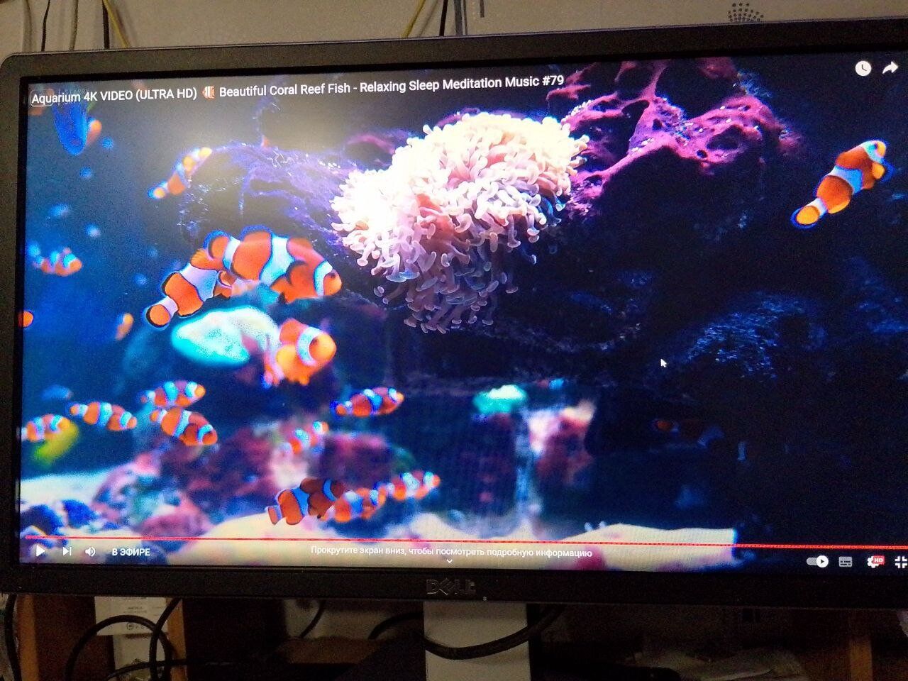 Монітор Б-клас Dell P2314Ht / 23" (1920x1080) IPS / 1x DVI, 1x DP, 1x VGA, 4x USB 2.0 / VESA 100x100 / Pivot - Зображення 11