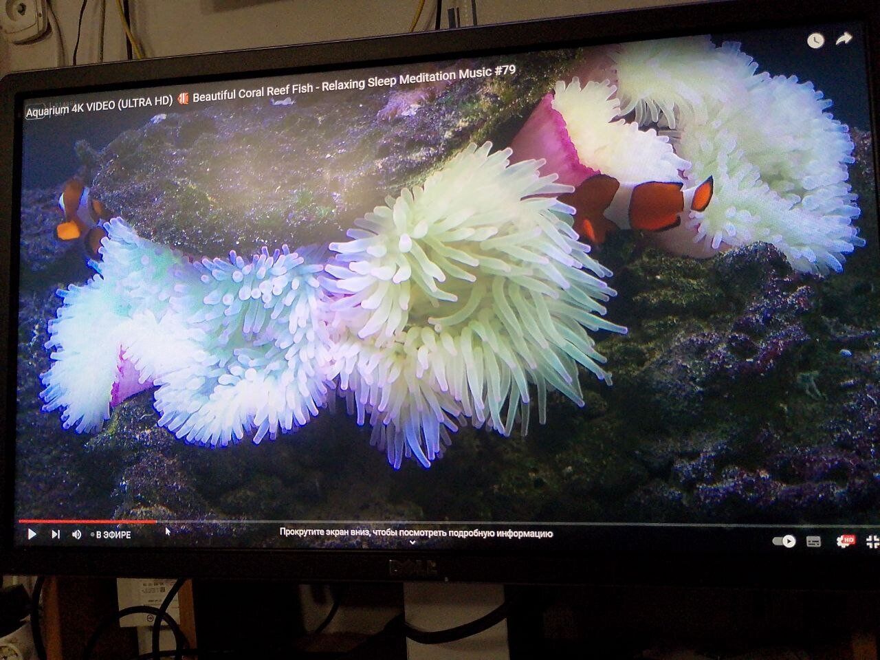 Монітор Б-клас Dell P2314Ht / 23" (1920x1080) IPS / 1x DVI, 1x DP, 1x VGA, 4x USB 2.0 / VESA 100x100 / Pivot - Зображення 10