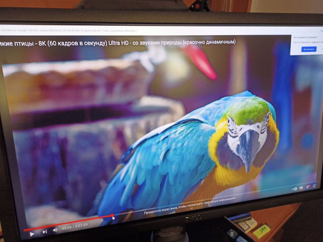 Монітор Б-клас Dell UltraSharp U2312HM / 23" (1920x1080) IPS / 1x DVI, 1x VGA, 1xDP, 4x USB 2.0, 1x USB Type-B / VESA 100x100 / Pivot - Зображення 6