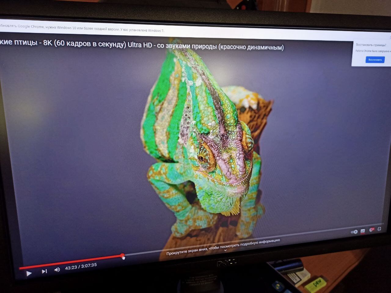 Монітор Б-клас Dell UltraSharp U2312HM / 23" (1920x1080) IPS / 1x DVI, 1x VGA, 1xDP, 4x USB 2.0, 1x USB Type-B / VESA 100x100 / Pivot - Зображення 5