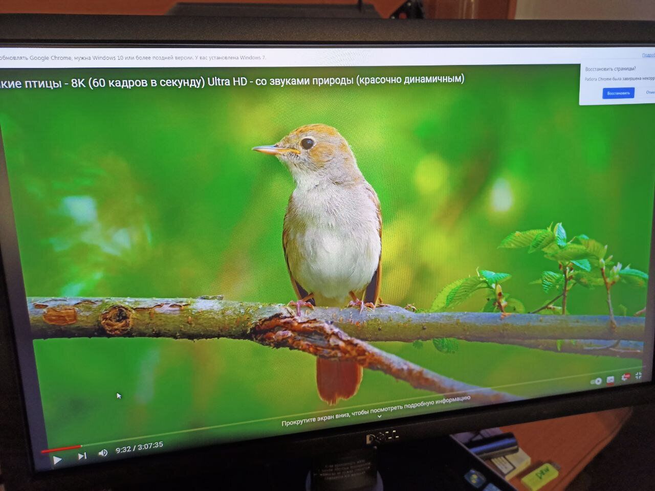 Монітор Б-клас Dell UltraSharp U2312HM / 23" (1920x1080) IPS / 1x DVI, 1x VGA, 1xDP, 4x USB 2.0, 1x USB Type-B / VESA 100x100 / Pivot - Зображення 7