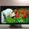 Монитор Dell P2414HB / 23.8" (1920x1080) IPS / 1x VGA, 1x DVI, 1x DP, 1x USB Type-B, 3x USB 2.0 - Зображення 10