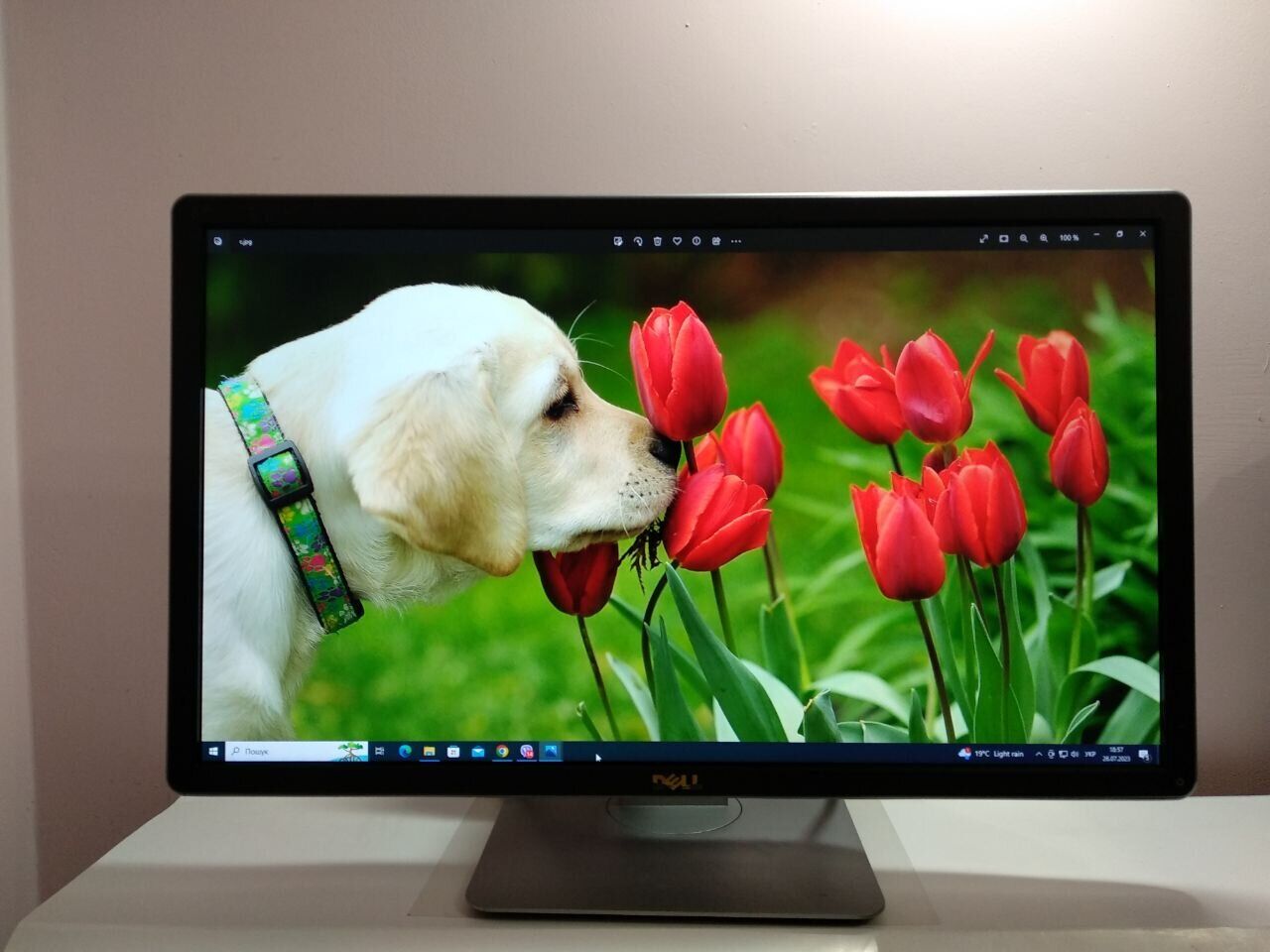 Монитор Dell P2414HB / 23.8" (1920x1080) IPS / 1x VGA, 1x DVI, 1x DP, 1x USB Type-B, 3x USB 2.0 - Зображення 10