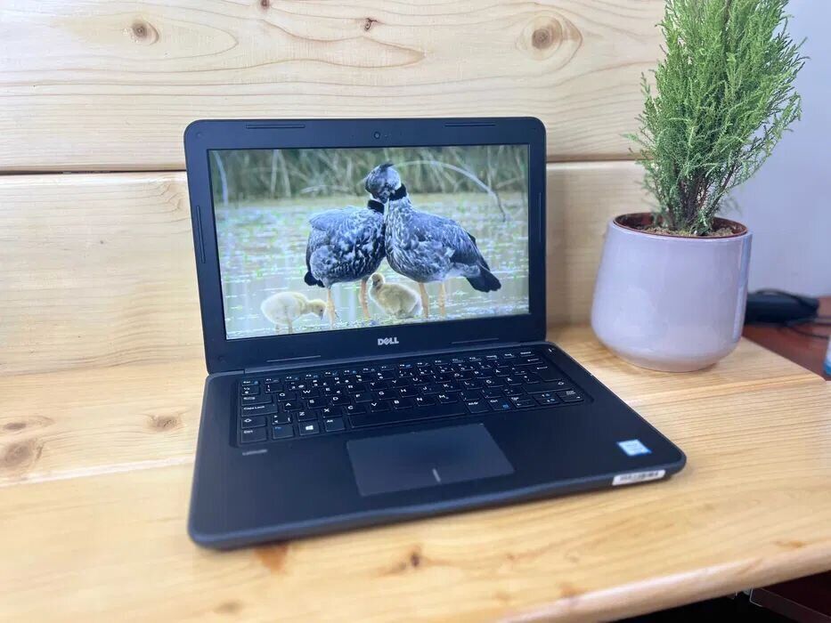 Ноутбук Dell Latitude 3380 / 13.3" (1366x768) TN / Intel Core i3-6006U (2 (4) ядра по 2.0 GHz) / 8 GB DDR4 / 128 GB SSD / Intel HD Graphics 520 / WebCam / HDMI / Windows 10 Pro - Зображення 9