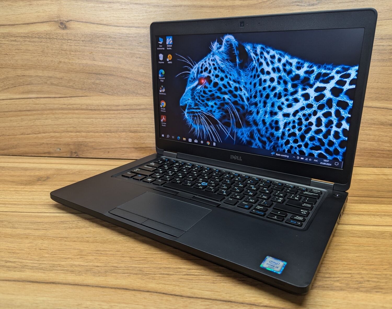 Ультрабук Dell Latitude 5480 / 14" (1920x1080) IPS / Intel Core i5-6300U (2 (4) ядра по 2.4 - 3.0 GHz) / 8 GB DDR4 / 256 GB SSD / Intel HD Graphics 520 / HDMI / WebCam / Windows 10 - Зображення 5
