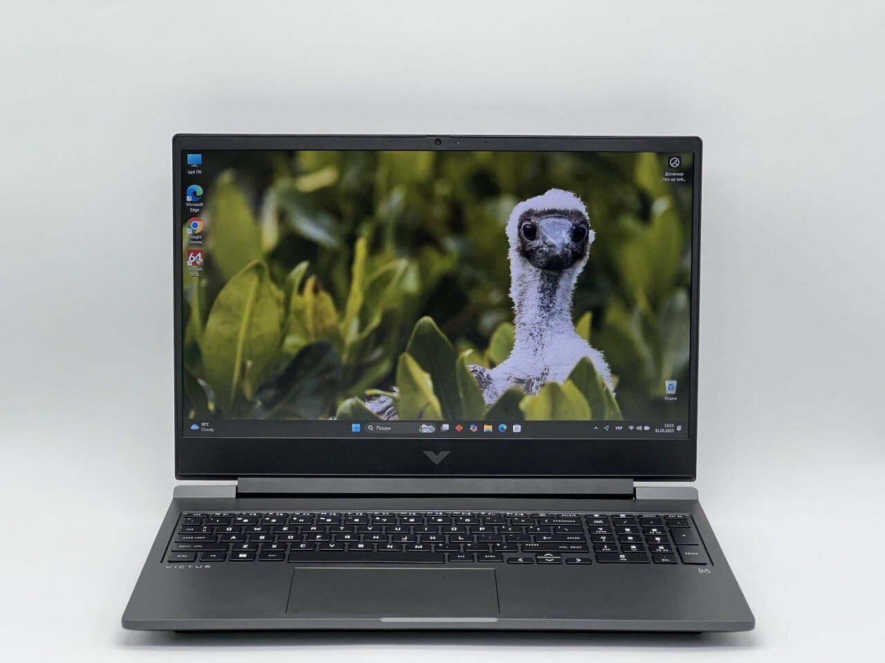 Ігровий ноутбук HP Victus Gaming 16-s0027nr / 16.1" (1920x1080) IPS / AMD Ryzen 7 7840HS (8 (16) ядра по 3.8 - 5.1 GHz) / 16 GB DDR5 / 480 GB SSD / nVidia GeForce RTX 4050, 6 GB GDDR6, 96-bit / WebCam - Зображення 2