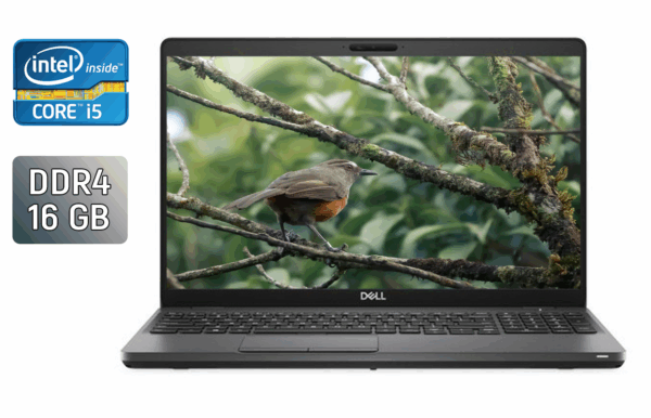 Ультрабук Б-клас Dell Latitude 5500 / 15.6" (1920x1080) IPS / Intel Core i5-8365U (4 (8) ядра по 1.6 - 4.1 GHz) / 16 GB DDR4 / 512 GB SSD / Intel UHD Graphics / WebCam / HDMI / Windows 10