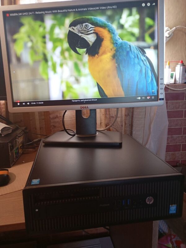 Комплект ПК: HP ProDesk 600 G1 SFF / Intel Core i5-4670 (4 ядра по 3.4 - 3.8 GHz) / 8 GB DDR3 / 120 GB SSD / Intel HD Graphics 4600 / DVD-RW + Монітор Dell Professional P2213t / 22" (1680x1050) TN / 1x DP, 1x DVI, 1x VGA, 3x USB 2.0 - Зображення 9