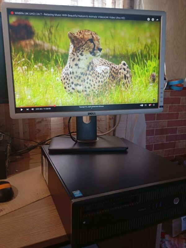 Комплект ПК: HP ProDesk 600 G1 SFF / Intel Core i5-4670 (4 ядра по 3.4 - 3.8 GHz) / 8 GB DDR3 / 120 GB SSD / Intel HD Graphics 4600 / DVD-RW + Монітор Dell Professional P2213t / 22" (1680x1050) TN / 1x DP, 1x DVI, 1x VGA, 3x USB 2.0 - Зображення 10