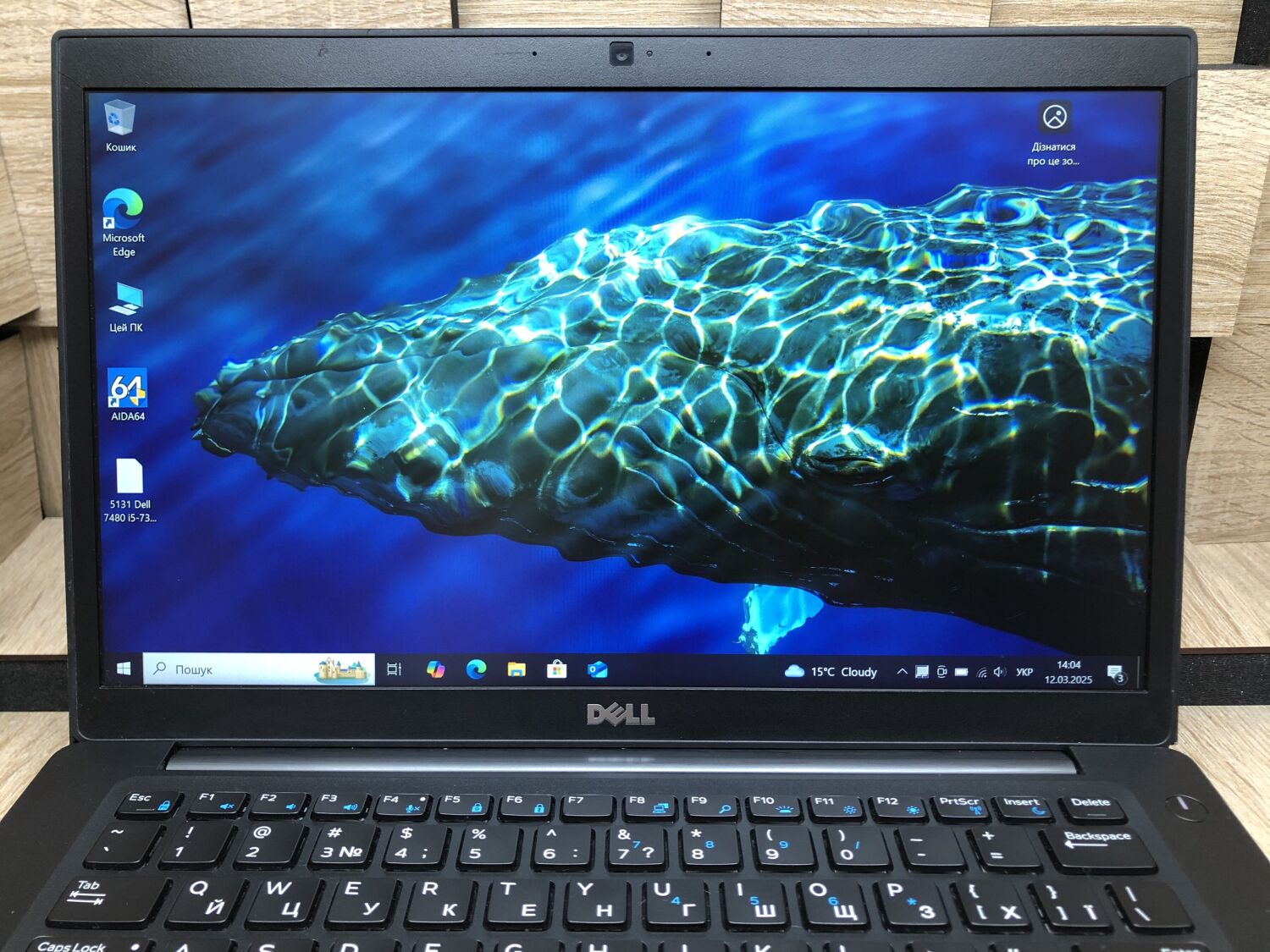 Ноутбук Б-клас Dell Latitude 7480 / 14" (1920x1080) IPS / Intel Core i5-7300U (2 (4) ядра по 2.6 - 3.5 GHz) / 8 GB DDR4 / 256 GB SSD M.2 / Intel HD Graphics 620 / WebCam / HDMI - Зображення 3