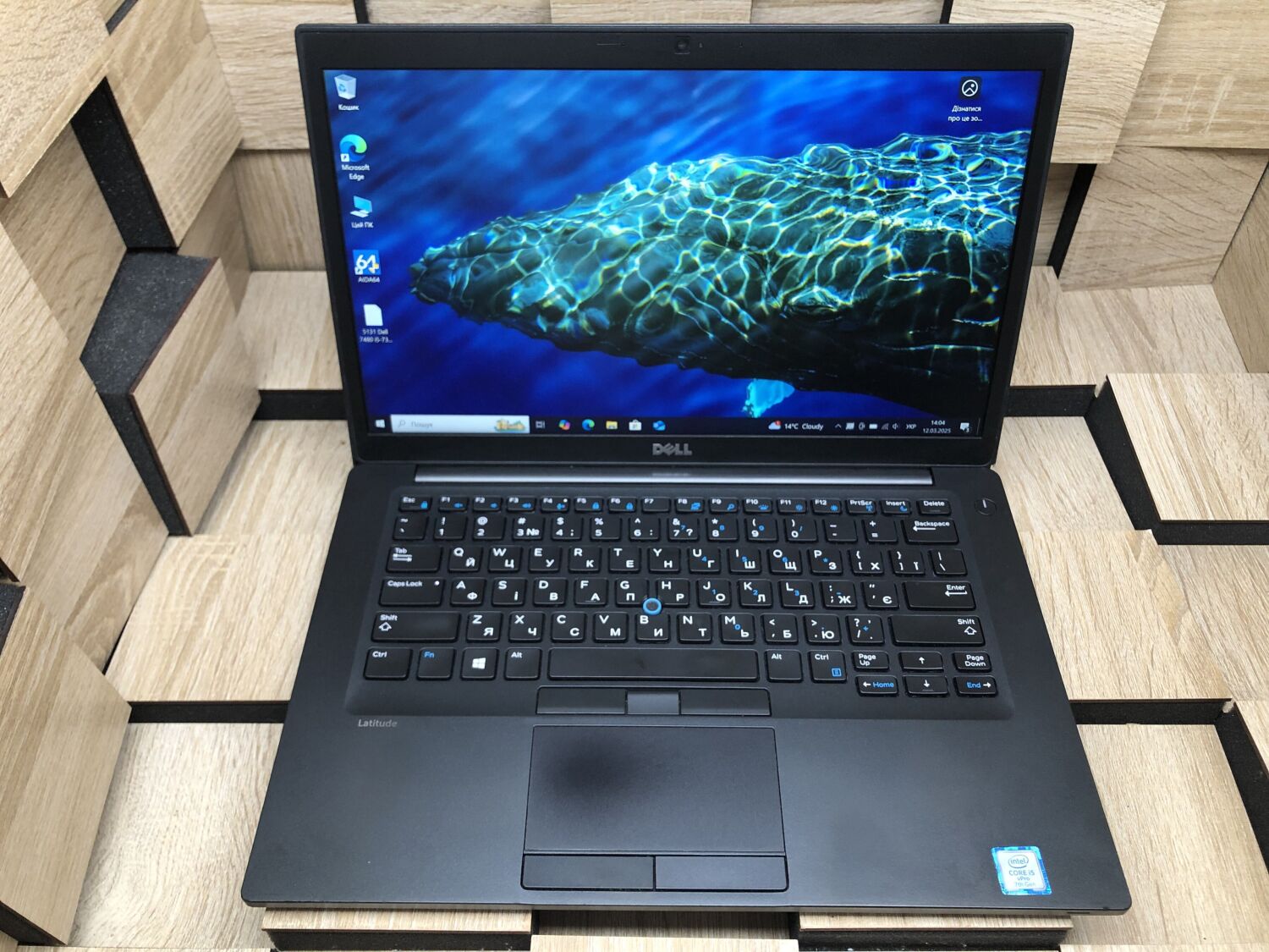 Ноутбук Б-клас Dell Latitude 7480 / 14" (1920x1080) IPS / Intel Core i5-7300U (2 (4) ядра по 2.6 - 3.5 GHz) / 8 GB DDR4 / 256 GB SSD M.2 / Intel HD Graphics 620 / WebCam / HDMI - Зображення 2