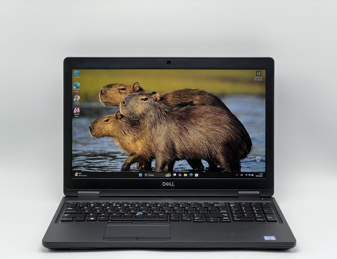 20 шт. Ноутбуків Dell Latitude 5590 / 15.6" (1920x1080) IPS / Intel Core i5-8250U (4 (8) ядра по 1.6 - 3.4 GHz) / 16 GB DDR4 / 240 GB SSD / Intel UHD Graphics 620 / WebCam - Зображення 2